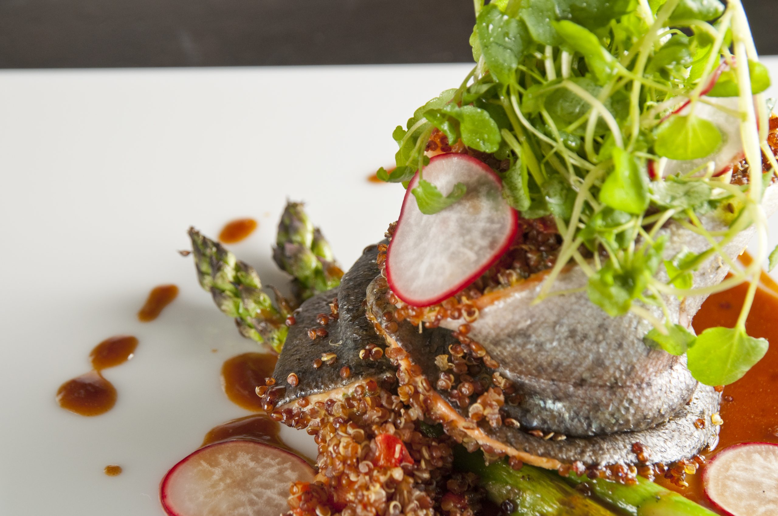 stuffed trout, quinoa, radish, sprouted greens, asparagus, white plate